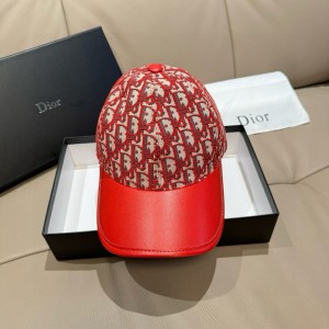 디올 모자